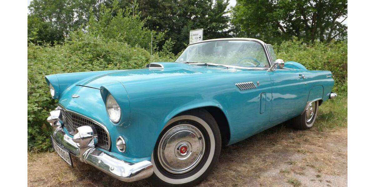 Ford Thunderbird 110.195 km 49.850 &euro; Mettmann 40822