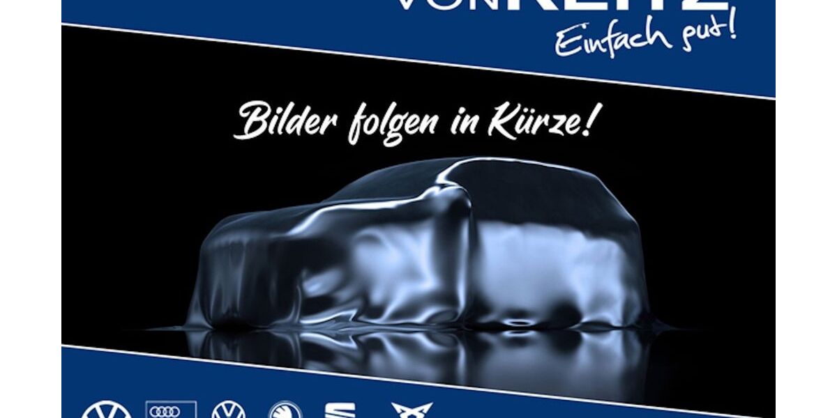 Audi RS e-tron GT 42.000 km 64.990 &euro; Solingen 42699