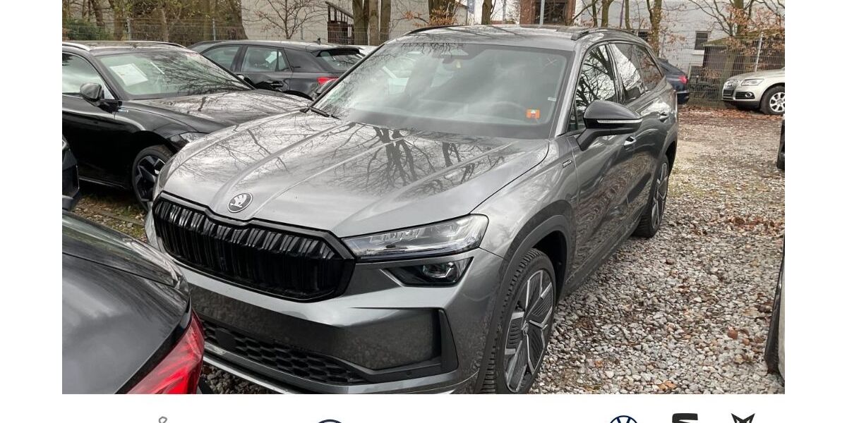 Skoda Kodiaq 21.096 km 47.490 &euro; Hilden 40721
