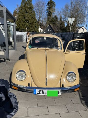 Gebrauchte VW Käfer