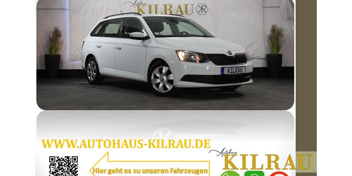 Skoda Fabia 130.000 km 8.899 &euro; Mettmann 40822